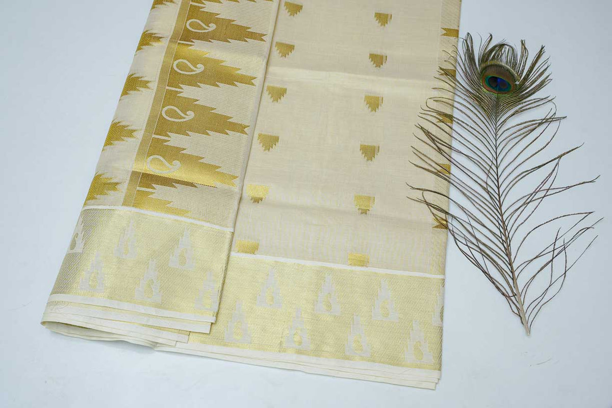 Women's Tissue Handloom Saree With Golden Design